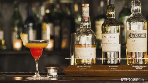 科技部警示 酒精是一类致癌物，小酌亦伤身