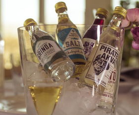 瑞典酒精饮料企业寻求中方合作伙伴 共拓酒精与脱醇酒市场新机遇