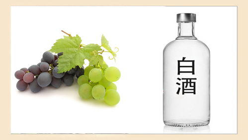 酒桌上“千杯不倒”的秘密，快来看看你知道几个